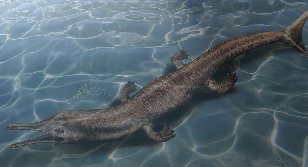 Cocodrilo marino Metriorhynchus del suborden Thalattosuchia. Ilustraci�n: Jon Hughes, procesamiento posterior: Danny Ayala Hinojosa.