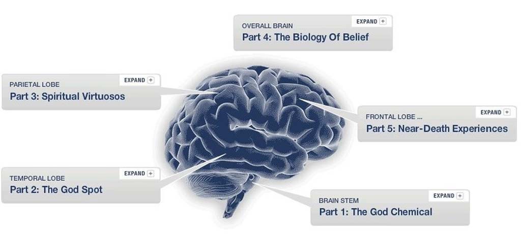 Iustraci�n: Brian Cordyack, Erin Killian, Maria Godoy y Barbara Bradley Hagerty