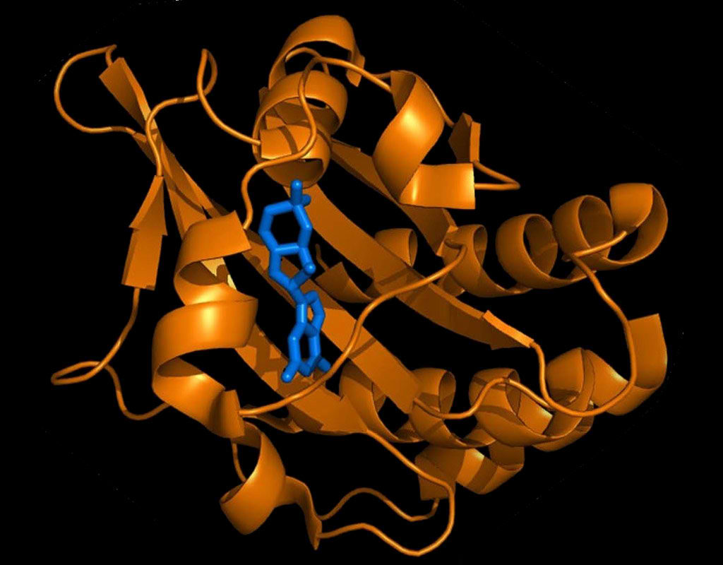 Modelo de enzima fosfodiesterasa 6 (phosphodiesterase 6) (PDE6 ) s�lo encontrada en el ojo y esencial para la visi�n. Ilustraci�n: Brad Clifton