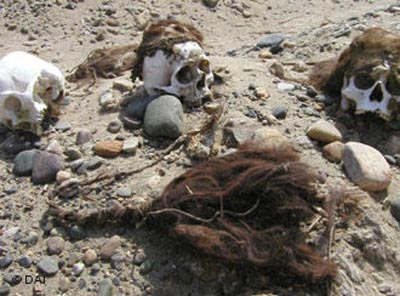 Objetos hallados en el curso de las investigaciones