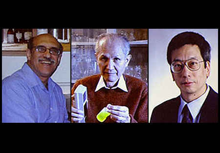 Los estadounidenses Martin Chalfie y Roger Y. Tsien y el japon�s Osamu Shimomura, ganadores del premio Nobel de Qu�mica 2008 por el descubrimiento y desarrollo de la Prote�na Verde Fluorescente (GFP) 