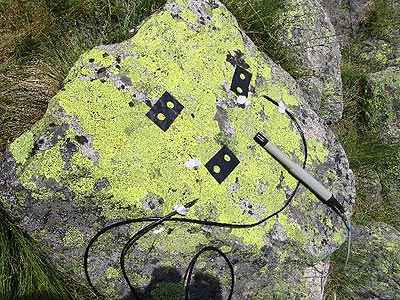 Estos ejemplares de l�quenes de las monta�as espa�olas viajaron al espacio para participar en Lithopanspermia, un experimento con el que la ESA quiere probar si los organismos vivos pueden viajar de un planeta a otro a bordo de meteoritos. En la imagen, uno de los l�quenes que se enviaron.