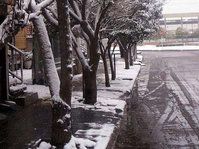 Los habitantes de varios barrios de la capital argentina y su populosa periferia vivieron un acontecimiento hist�rico con una inesperada nevada