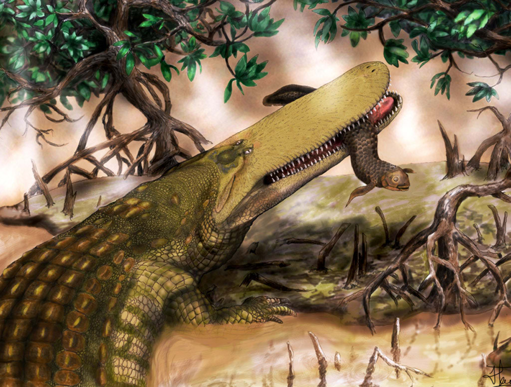 Shieldcroc,llamado as� por una estructura �sea en forma de escudo en su cabeza. Ilustraci�n: Ilustraci�n: Casey Holliday y Nick Gardner