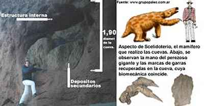 Cueva realizada por un Scelidotherium, un mam�fero herb�voro extinto, marcas de sus garras han sido encontradas en la cueva en Miramar.