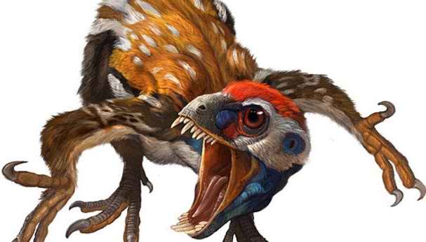 Dinosaurio Epidexipteryx hui. El extra�o dinosaurio con plumas vivi� en China entre los periodos Jur�sicos Medio y Superior. 