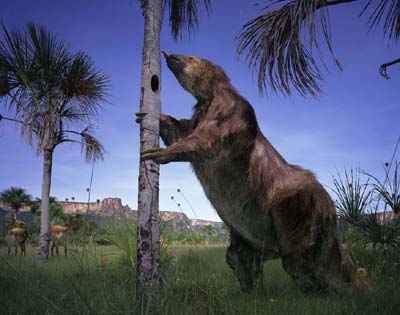 Reconstrucci�n de un megatherium