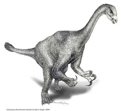 En China se ha descubierto un dinosaurio muy extra�o. El Suzhousaurus megatherioides ers herb�voro ten�a el cuello largo, brazos incre�blemente enormes, probablemente con garras gigantes. Med�a unos 6 metros y medio de la cabeza a la cola. Se cree que caminaba s�lo con sus patas traseras, y que ten�a el andar de un pato.