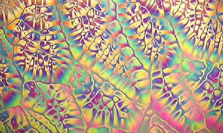 Cristal L�quido bajo luz polarizada, este material se utiliza tanto en pantallas LCDs como en nuevas aplicaciones cient�ficas. Foto: Karen Neill.