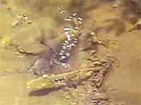 Vertiente mineral del volc�n Pululahua