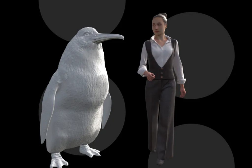 Crossvallia waiparensis comparado con un humano actual. Imagen: Canterbury Museum