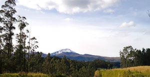 Sincholagua en los Andes de Ecuador. El aire de altura podría ayudar en Parkinson