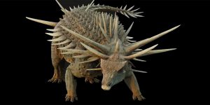 Posible aspecto del Spicomellus Afer. Imagen: Nature