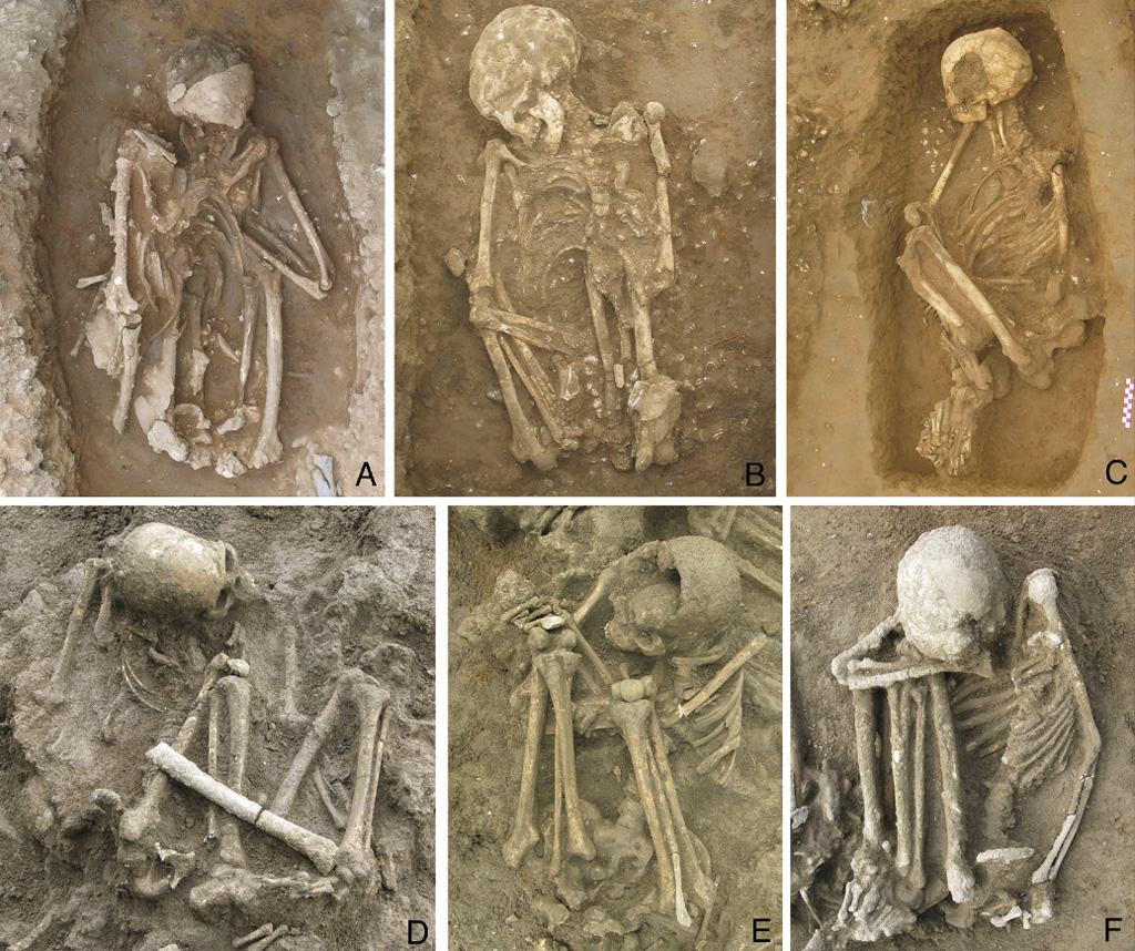 Restos hallados en Huiyaotian, Nanning y Liyupo. CHina. Foto: Hsiao- chun Hung et al.