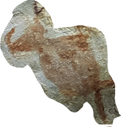 Figura B. Crédito: G. Morcote-Ríos, et al (2019)