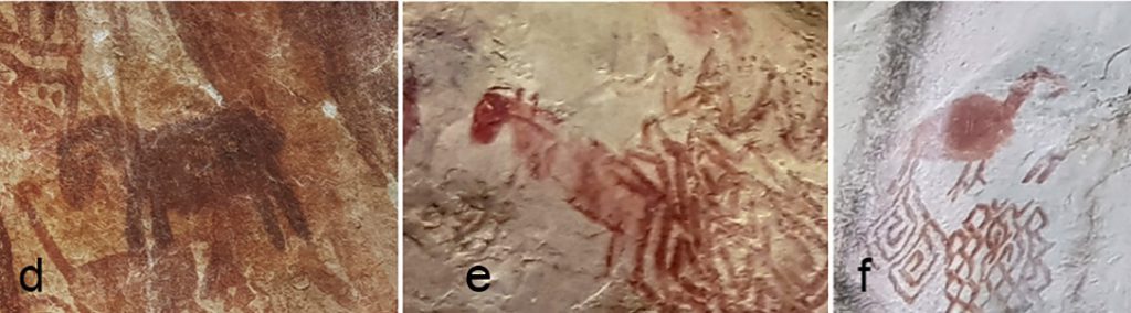 Figuras d,e y f. Crédito: G. Morcote-Ríos, et al (2019)