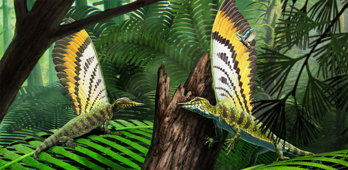 Representación del Mirasaura grauvogeli. Imagen: Gabriel Ugueto