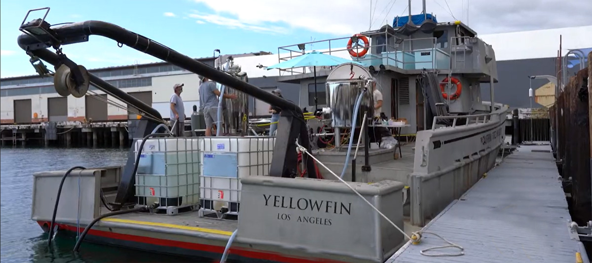 Navel prototipo de Calcárea. Foto: The University of Southern California