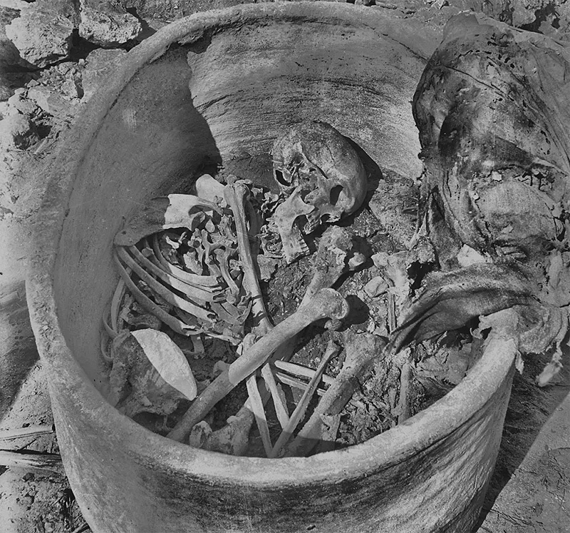 Restos humanos del Antiguo Egipto. Garstang Museum of Archaeology, University of Liverpool