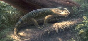Bolg amondol, un lagarto prehistórico de Utah.