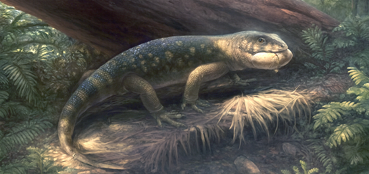 Bolg amondol, un lagarto prehistórico de Utah.