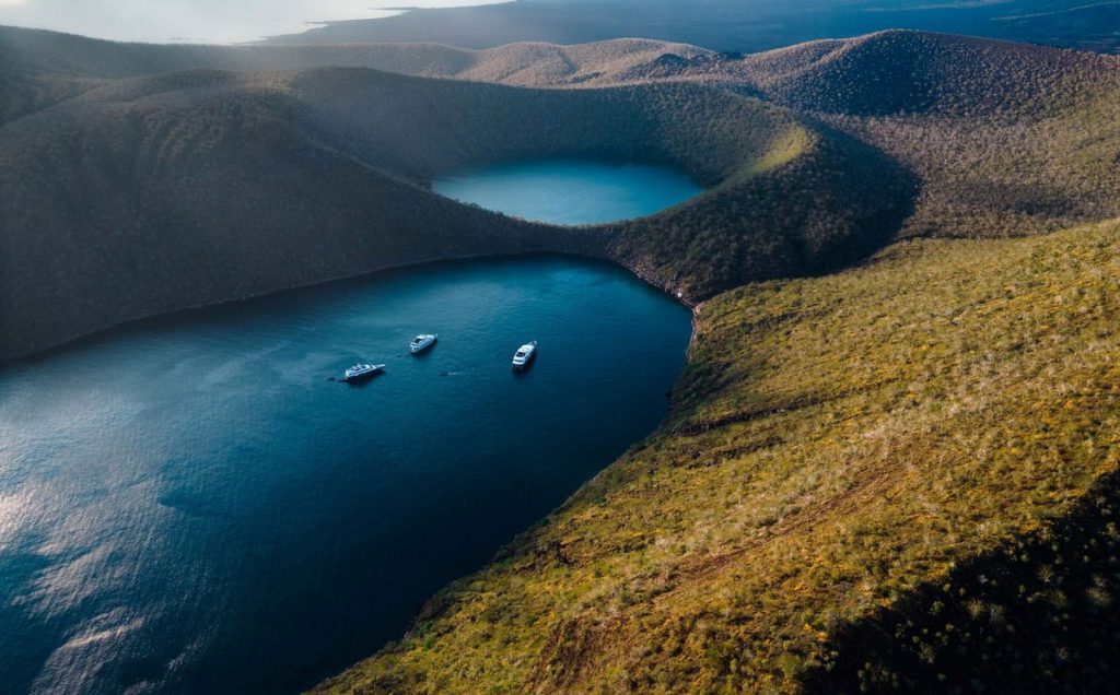 Caleta Tagus. Foto:  darwinfoundation.org