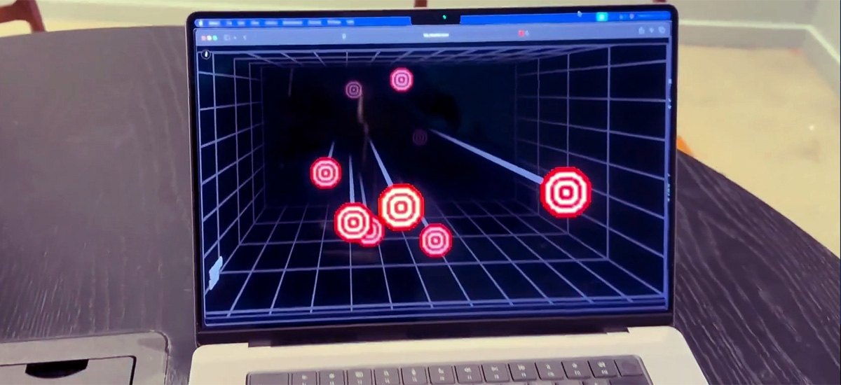 "Window Mode" Sistema 3D. Imagen: True3D Labs