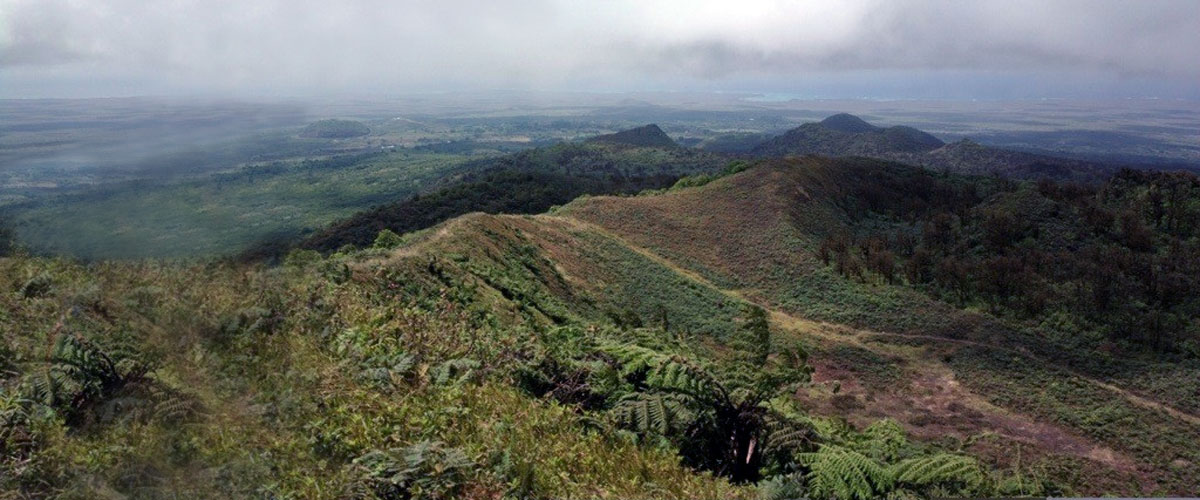 Tierras altas del volcán Santa Cruz.