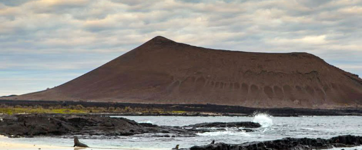 Cono en la costa de la Isla Pinta: Foto: Galápagos Naciente