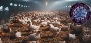 Granja avícola comercial. Imagen, virus H5N1: AI / prompt: Danny Ayala Hinojosa