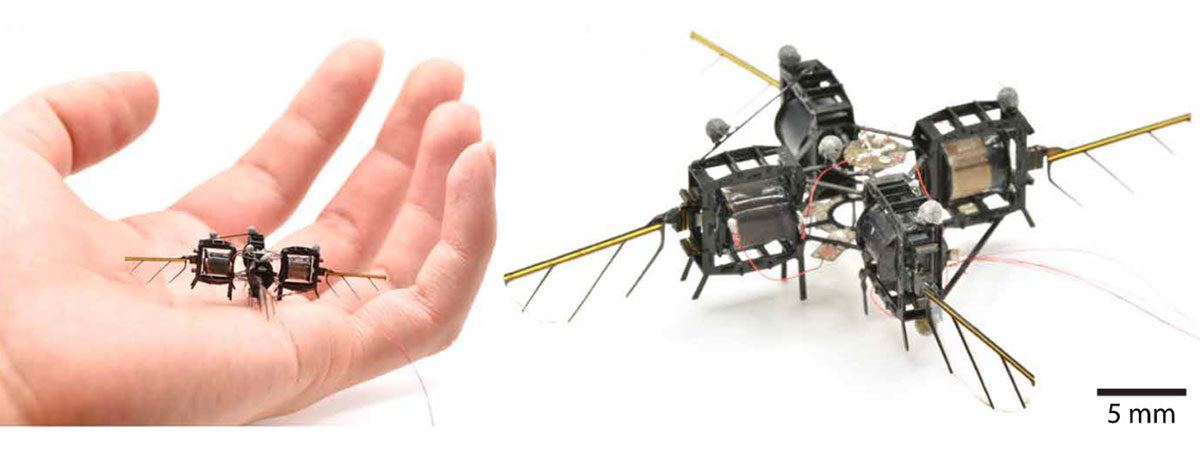 Insecto robot. Imagen: MIT