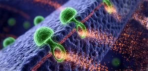 Toxina afectando pared celular. Imagen: IA / Prompt: Danny Ayala Hinojosa