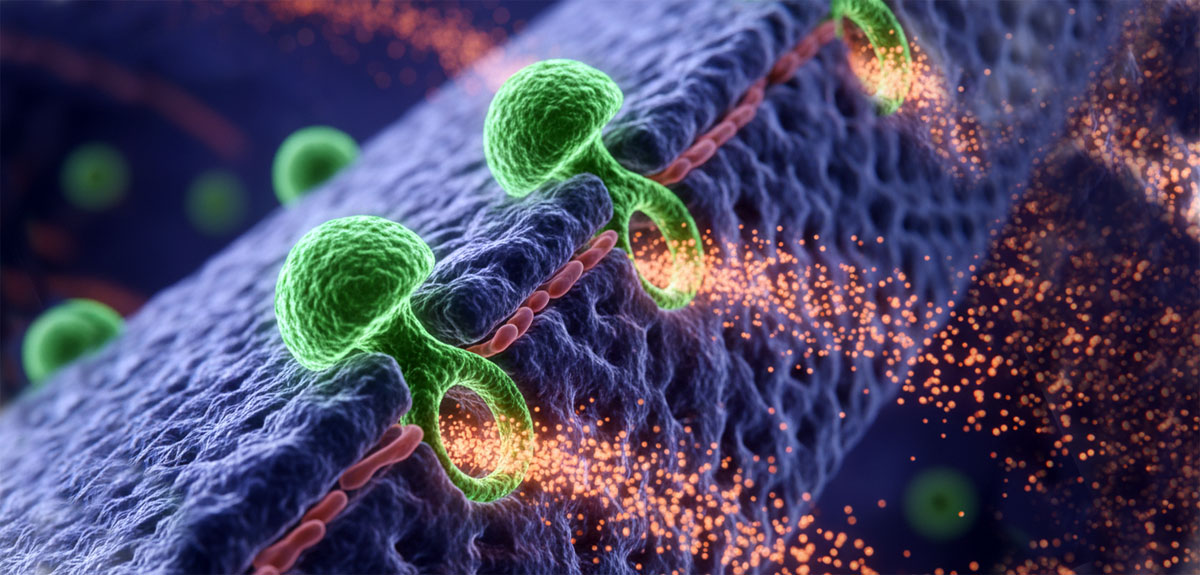 Toxina afectando pared celular. Imagen: IA / Prompt: Danny Ayala Hinojosa