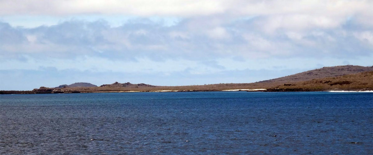 Volcán Isla Española. Foto: Max Frischknecht
