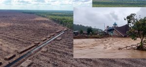 Inundaciones en Sumatra causadas por la tala indiscriminada.