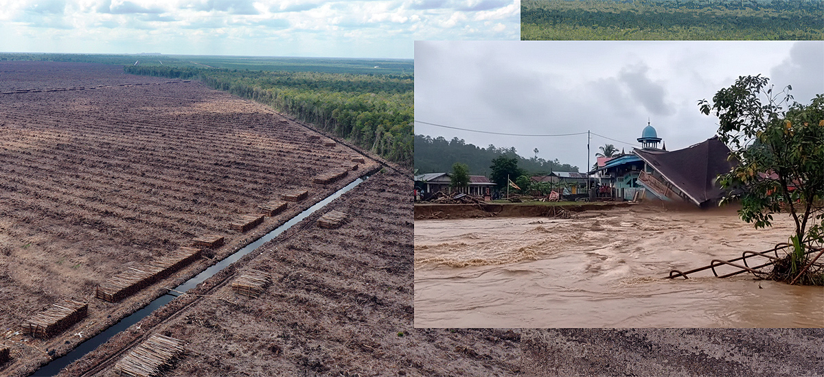 Inundaciones en Sumatra causadas por la tala indiscriminada.