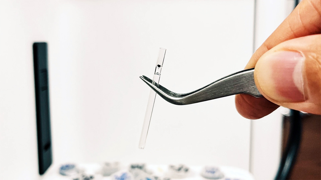 Esquisto de 3.510 millones de años de antigüedad de Singhbhum, India. Imagen: Michael Wong.