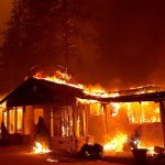 Incendio forestal en California. Imagen: Agencias