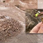 Foto: Israel Antiquities Authority.