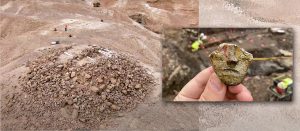 Descubren una pirámide de 2,200 años en el desierto de Judea