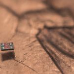 Micro robots programables. Imagen: Michael Simari, University of Michigan