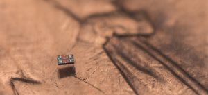 Robots microscópicos con cerebro propio del tamaño de un grano de sal