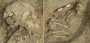 Un adolescente sobrevivió al ataque de un león hace 6.000 años