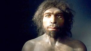 Nuevas pistas sobre el antepasado común de humanos y neandertales